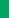 Kelly Green / White