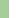Light Green / White